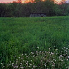 Hog Pen, Hensley Settlement at Sunset